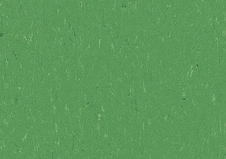 3647 nettle green//2,5 mm